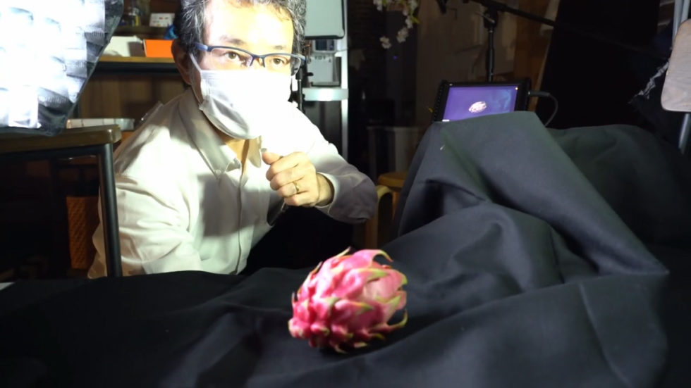 南国トロピカルフルーツが宙にまう