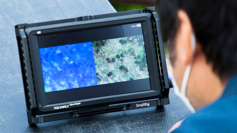 赤外線カメラ搭載ドローン実証実験