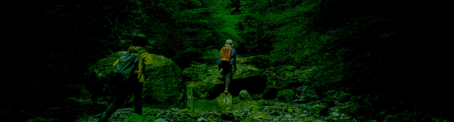 locaservice_bg-3-1536×415