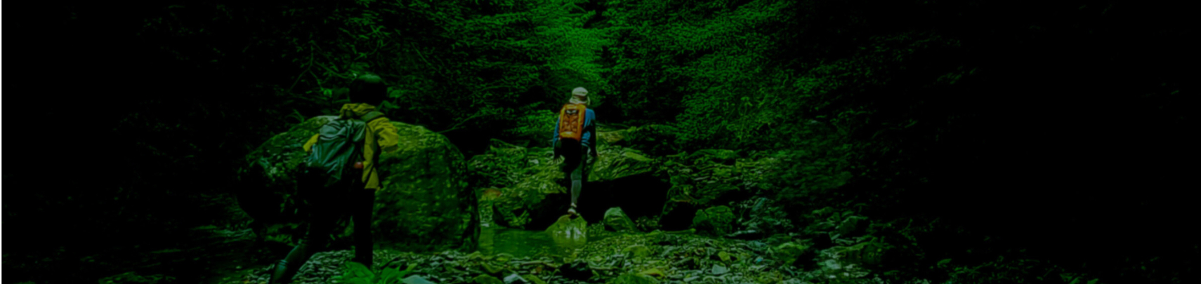 locaservice_bg-3-1536×415